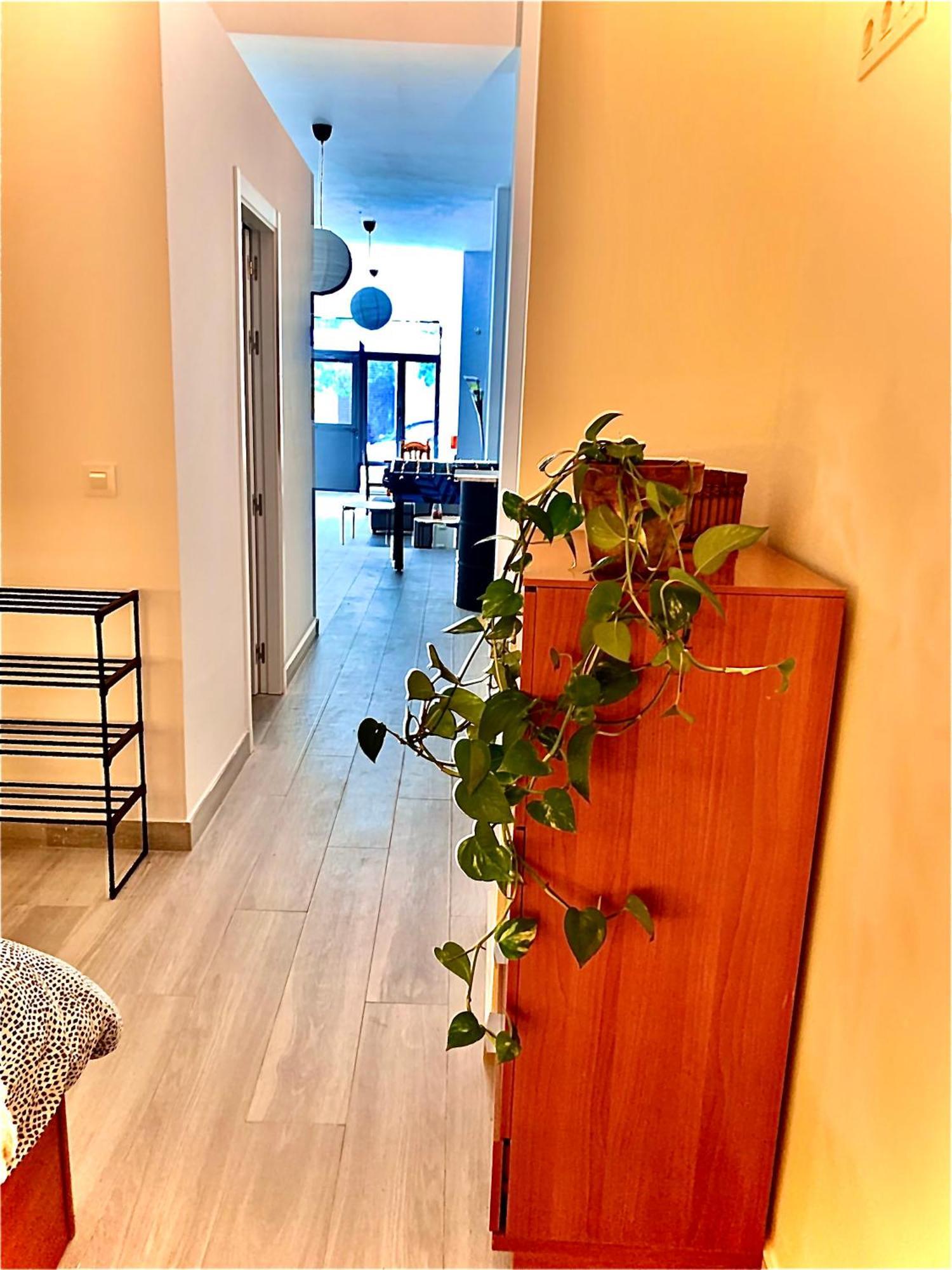 Violeta Loft A With Chill Out Terrace Sevilla Exteriör bild